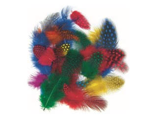 Decorative feathers, guineafowl, 10 g