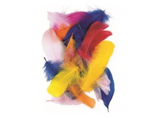 Decorative feathers, goose, 10 g