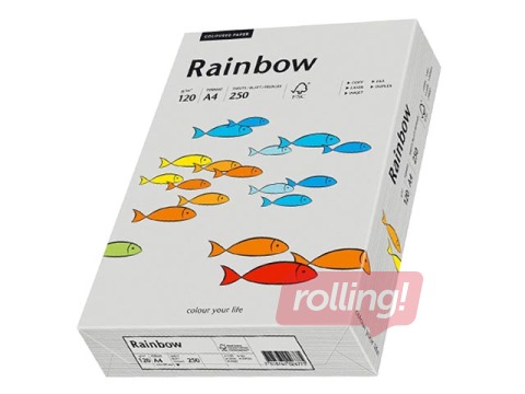 Papīrs Rainbow 96, A4, 80 g/m2, 500 loksnes, pelēks