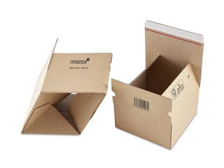 Kaste pasta sūtījumiem Master´in Access, L160 x B130 x H70 mm, kartona